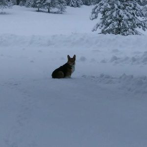 Meet your Posher, Rosel